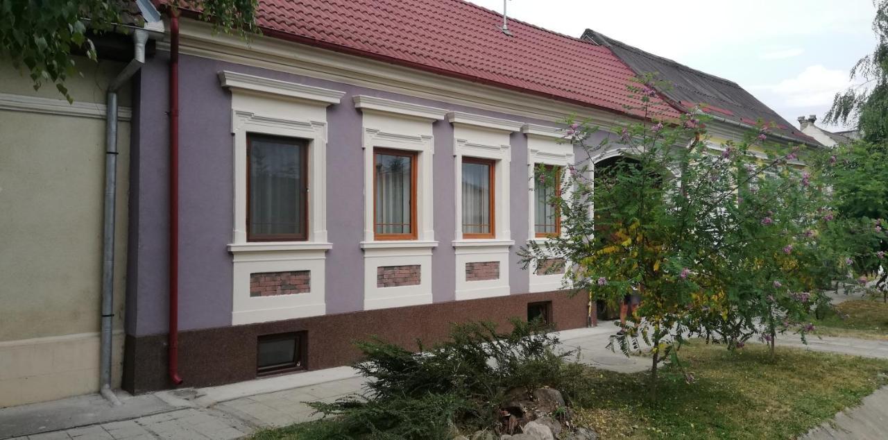 Casa De Vacanta Ayan Harman Exterior photo